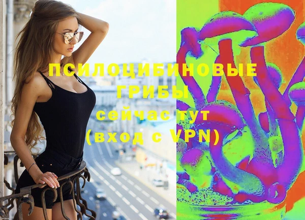дживик Армянск