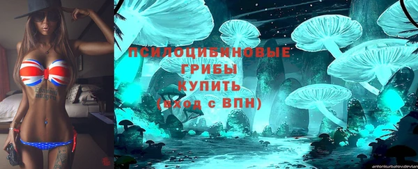 дживик Армянск