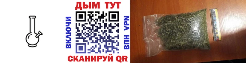 Конопля семена Сунжа